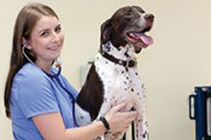 decorative image of vet-tech , Vet Tech 2023-01-24 13:13:50