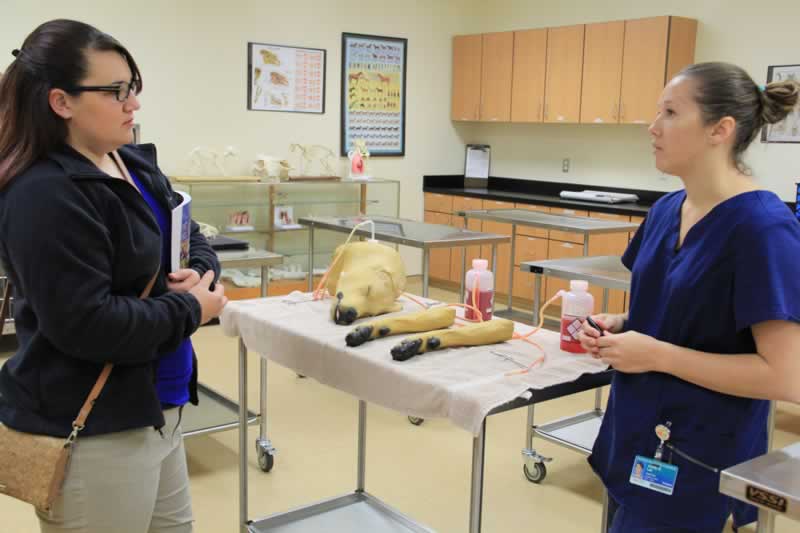 1121-vet-tech-pix decorative image of 1121-VET-TECH-PIX_hpbzlc , Pensacola State’s Vet Tech program holds open house Nov. 10 2017-01-17 14:08:28