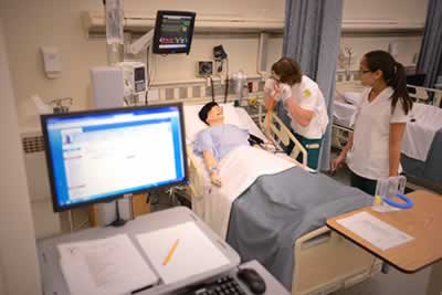 w_labd02 decorative image of W_labD02_awhedk , BSN Program at PSC Earns Dual National Accreditation 2017-01-17 14:23:48