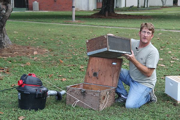 decorative image of Honeybee1 ,   2017-10-03 10:42:46