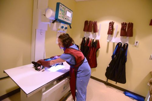 PSC VetTech lab decorative image of PSC-VetTech-lab , PSC Hosts Vet Tech Open House Nov. 9 2017-11-06 11:05:47