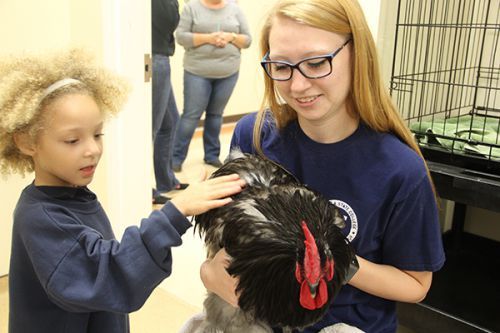 Vet tech MAIN decorative image of Vet-tech-MAIN , Vet Tech Open House draws a large crowd 2017-11-14 13:53:38