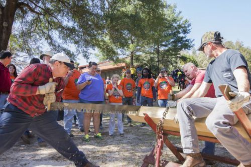 decorative image of Lumberjack-2019 , Auto Draft 2019-02-22 08:19:43