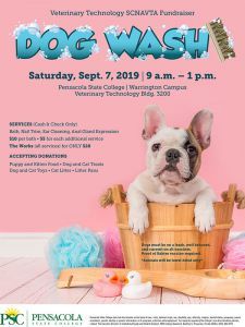 2019 Fall Dog Wash decorative image of 2019-Fall-Dog-Wash , Auto Draft 2019-09-06 10:35:04