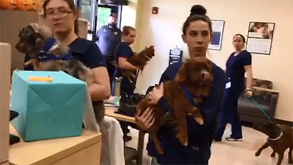 Pensacola State College | Learn to draw blood, treat sick animals and more with PSC's Allied Health programs | (850)484-1000 Pensacola State College | Learn to draw blood, treat sick animals and more with PSC's Allied Health programs | (850)484-1000