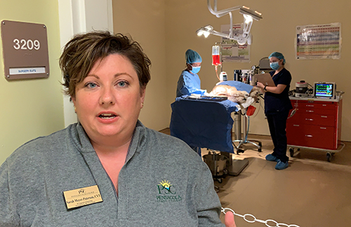 decorative image of sarah_500 , PSC Veterinary Technology students welcome the public into their 'hospital' 2019-11-18 08:57:41