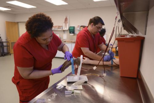 allied health decorative image of allied-health , Earn a health care vocational certificate at PSC in as little as eight weeks 2020-06-03 15:31:50