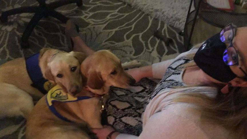 decorative image of IMG_9440 , Pensacola State College welcomes therapy dog 'Rudy' while saying goodbye to 'Milly' 2021-01-27 10:24:30