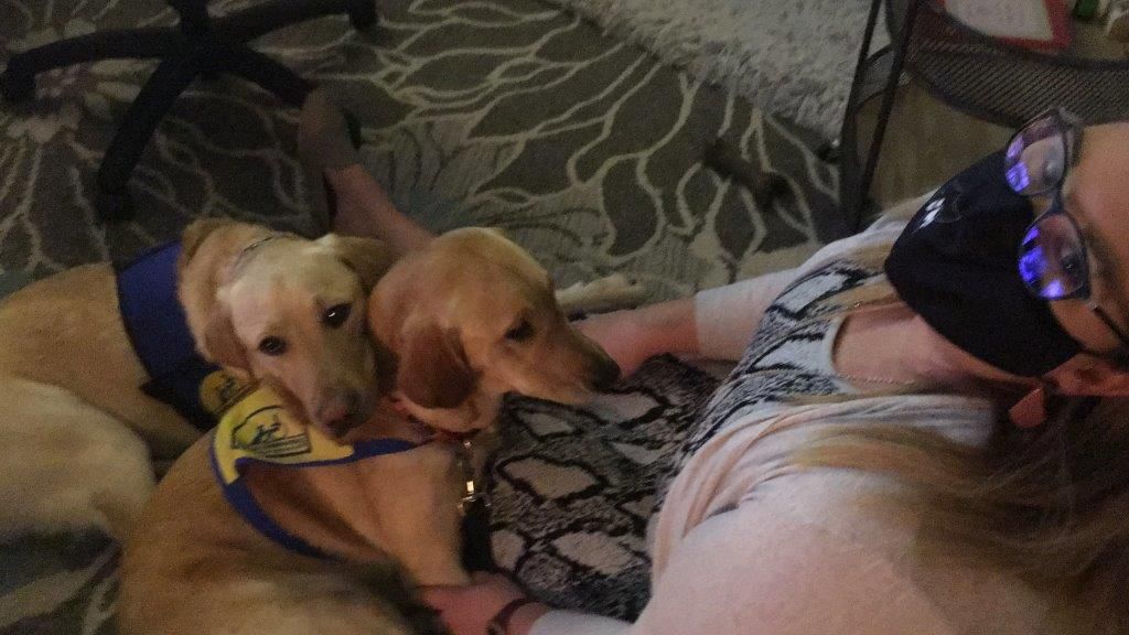 IMG_9440 decorative image of IMG_9440 , Pensacola State College welcomes therapy dog 'Rudy' while saying goodbye to 'Milly' 2021-01-27 10:24:30