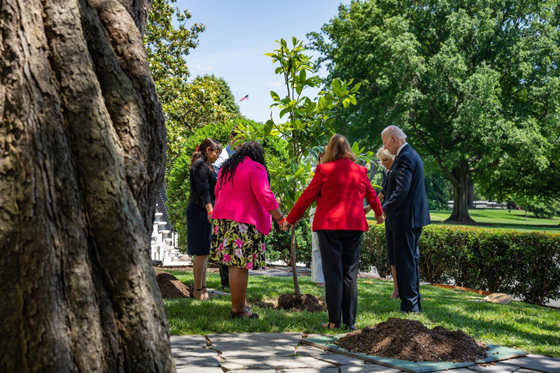 decorative image of hubbs2 , WSRE’s Jill Hubbs plants tree with President and First Lady on White House Lawn on Memorial Day 2022-06-09 08:30:55
