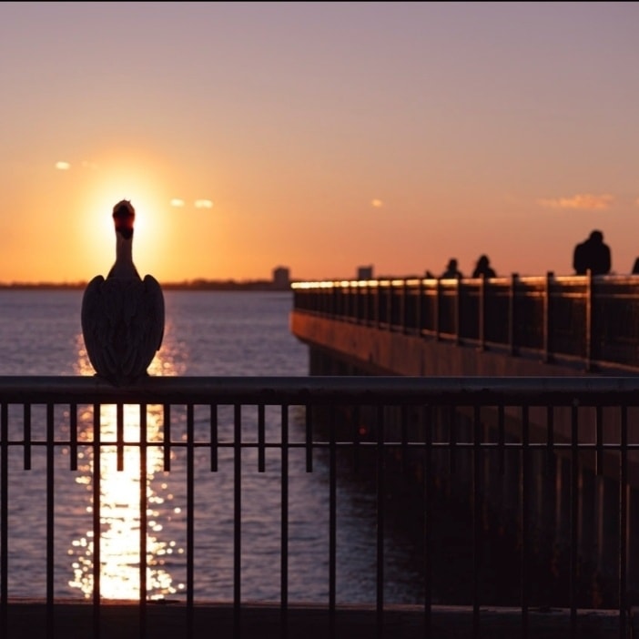 decorative image of runner-up , Jaco's Annual Pensacola State Sunset Photography contest winners 2024-03-14 09:16:23