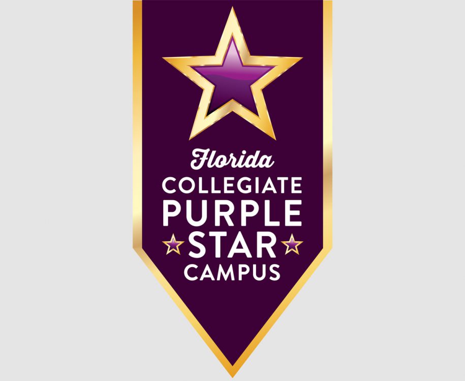 The Florida Collegiate Purple Star Campus ribbon
